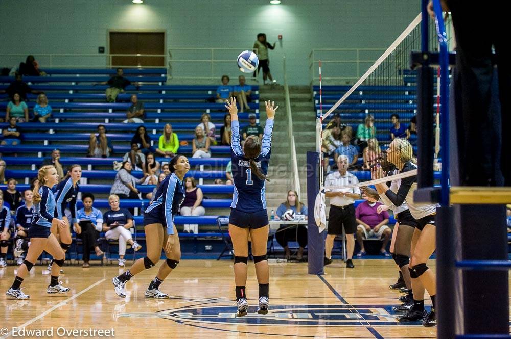 VB Scrimmage 155.jpg